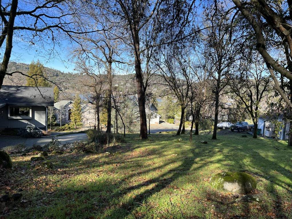 18659 Chaparral Drive - Photo 1