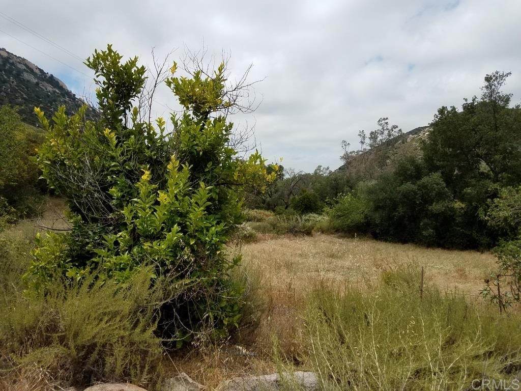 12226 Wildcat Canyon Road - Photo 1