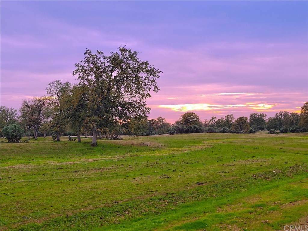 0 Rhonda Road - Photo 1