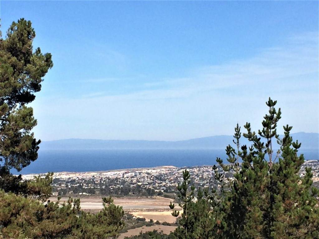 25540 Via Malpaso (Lot 91) - Photo 1