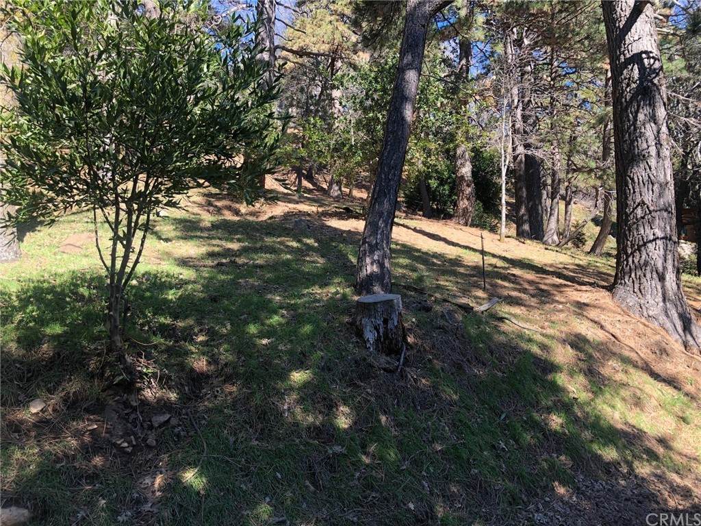 21750 Sawpit Canyon Road - Photo 1