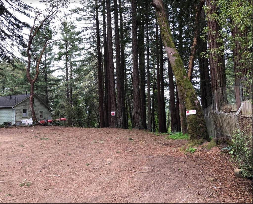 205 Huckleberry Trail - Photo 1