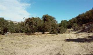 0 Pine Canyon Road - Photo 1