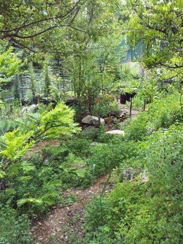 910 Pinecrest Drive - Photo 1