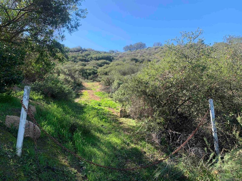 Old Coach Road - Photo 1