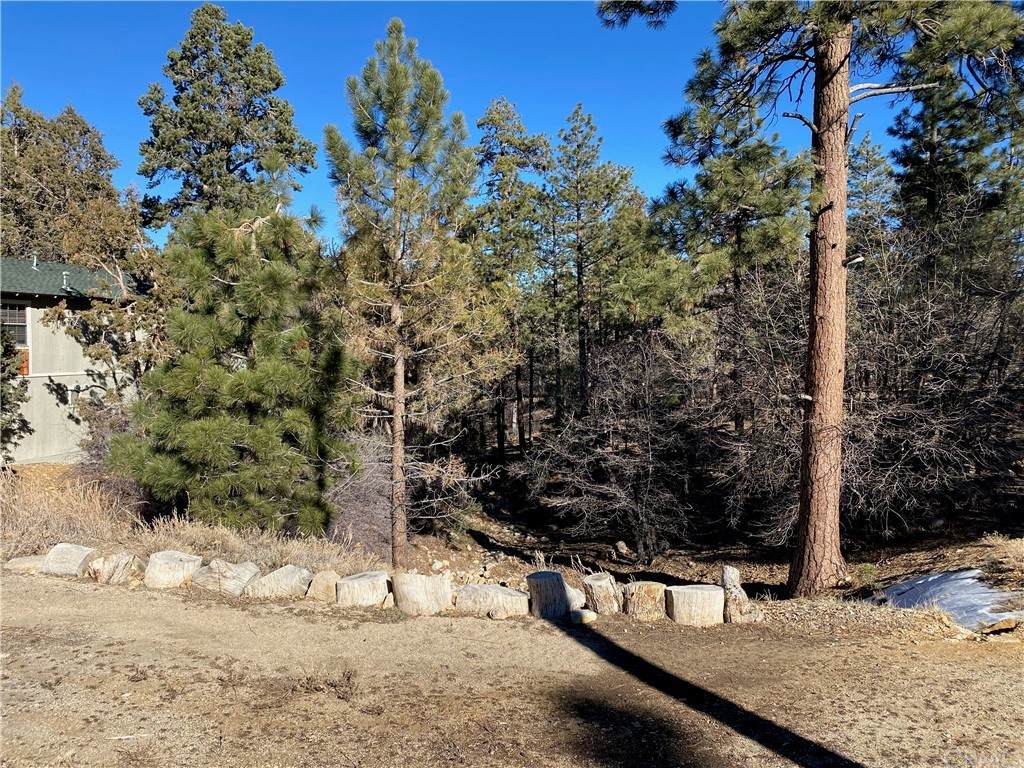 467 Pine Lane - Photo 1