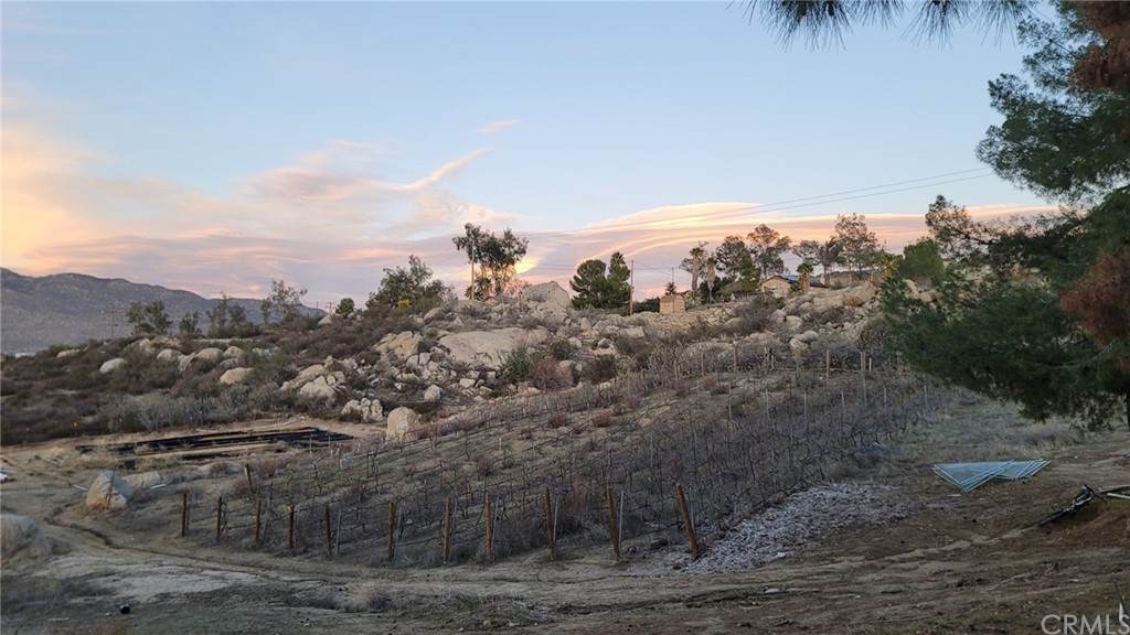32450 Old Ranch Road - Photo 1