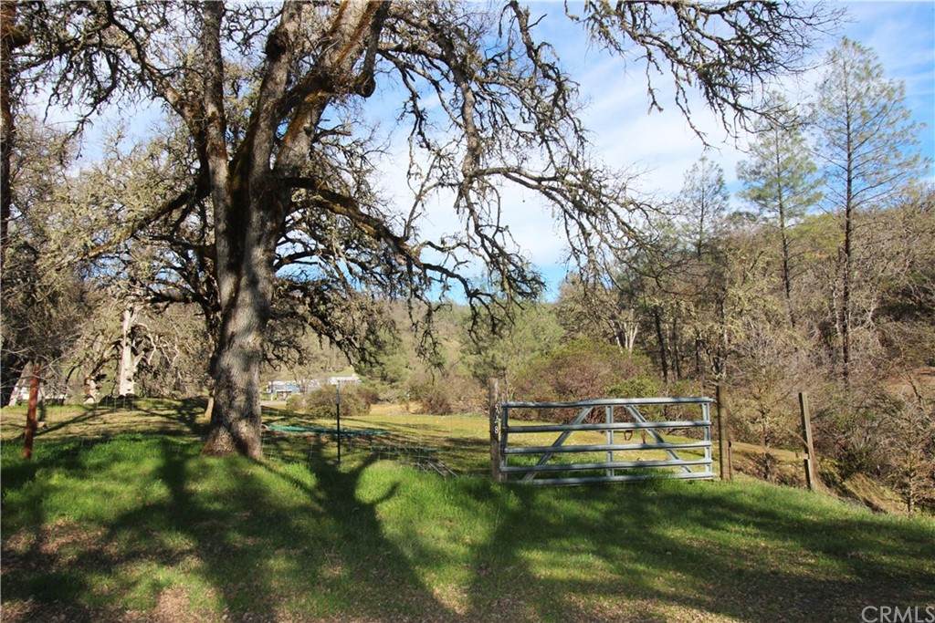 11528 Candy Lane - Photo 1