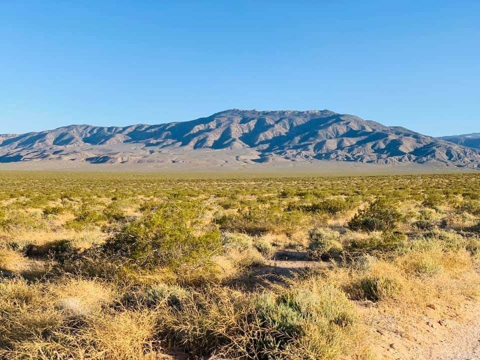 7000 Bessemer Mine Road - Photo 1