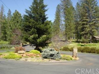 0 Black Oak Te - Photo 1