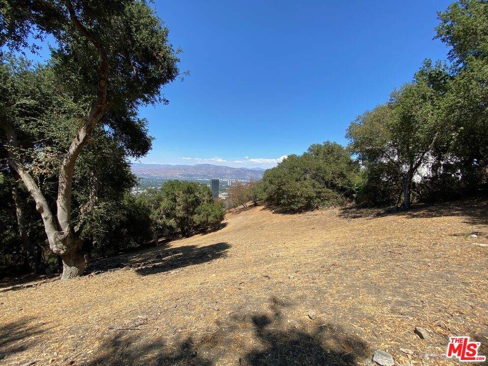 7831 Mulholland Drive - Photo 1