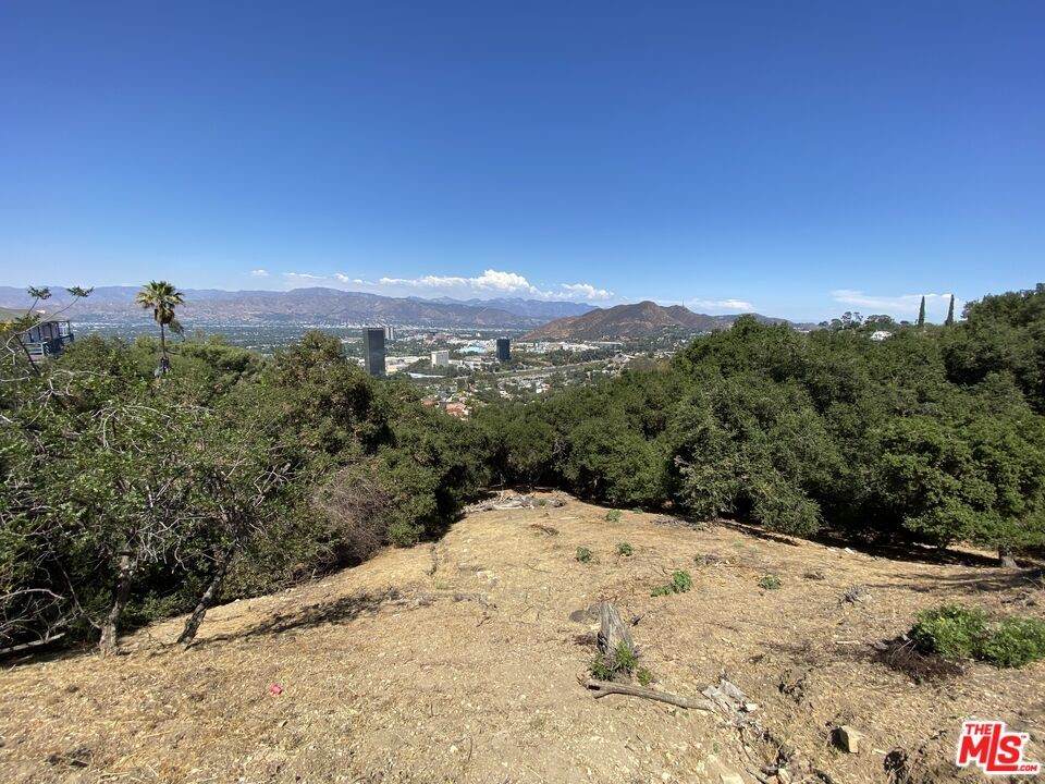 7845 Mulholland Drive - Photo 1
