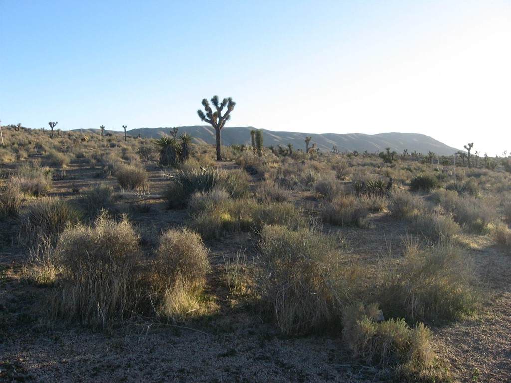 0 Olema Road - Photo 1