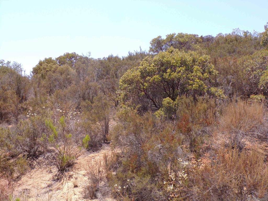 0 Mountain View Drive - Photo 1