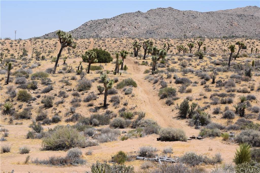 0 Palomar - Photo 1