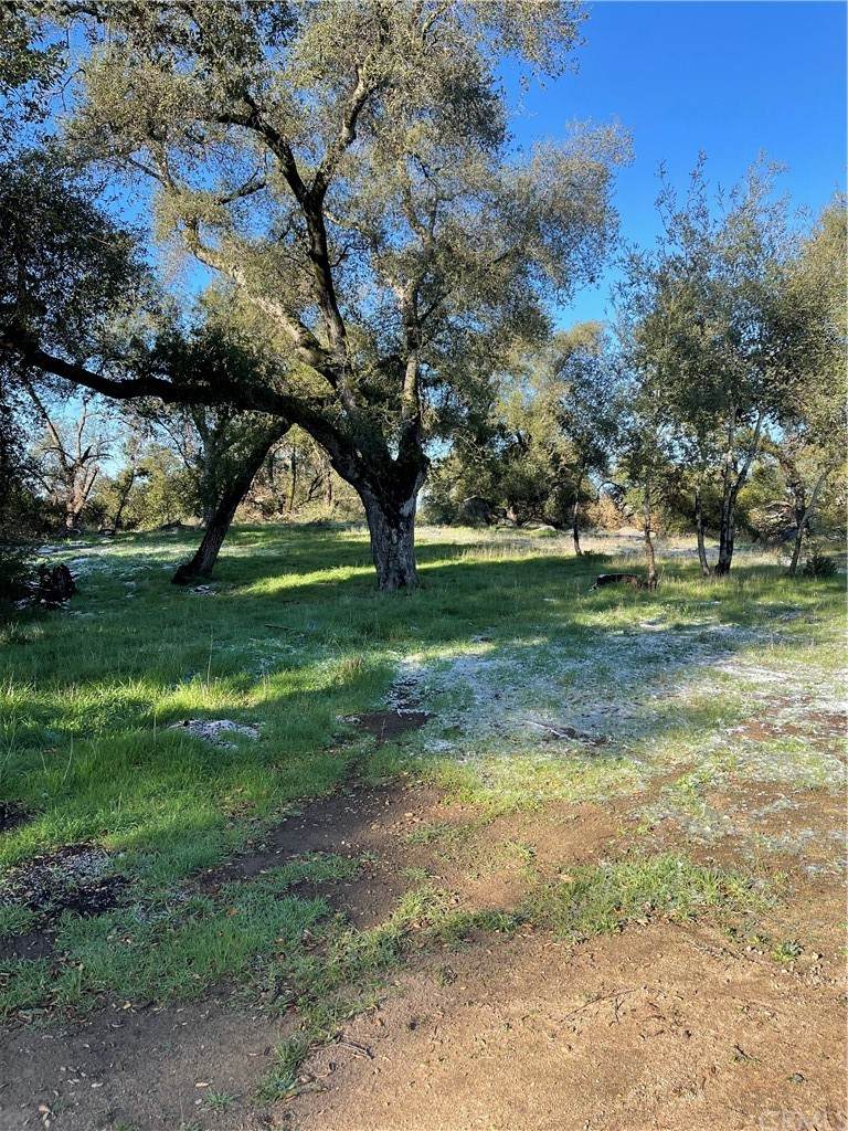 20 Hobbiton Road - Photo 1