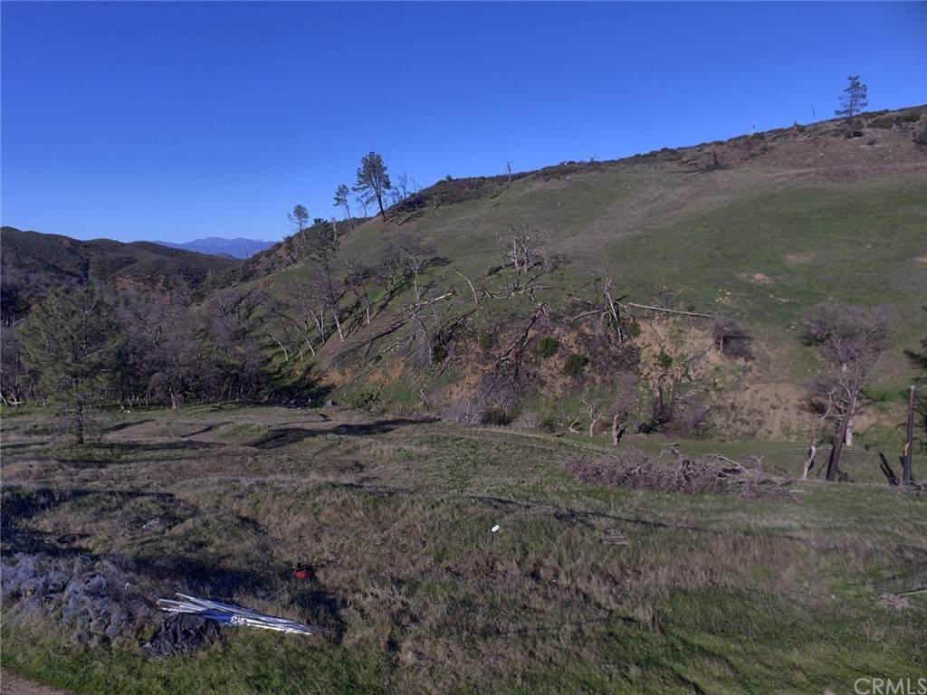20808 Morgan Valley Road - Photo 1