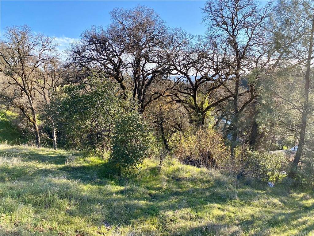 7231 Inyo Street - Photo 1