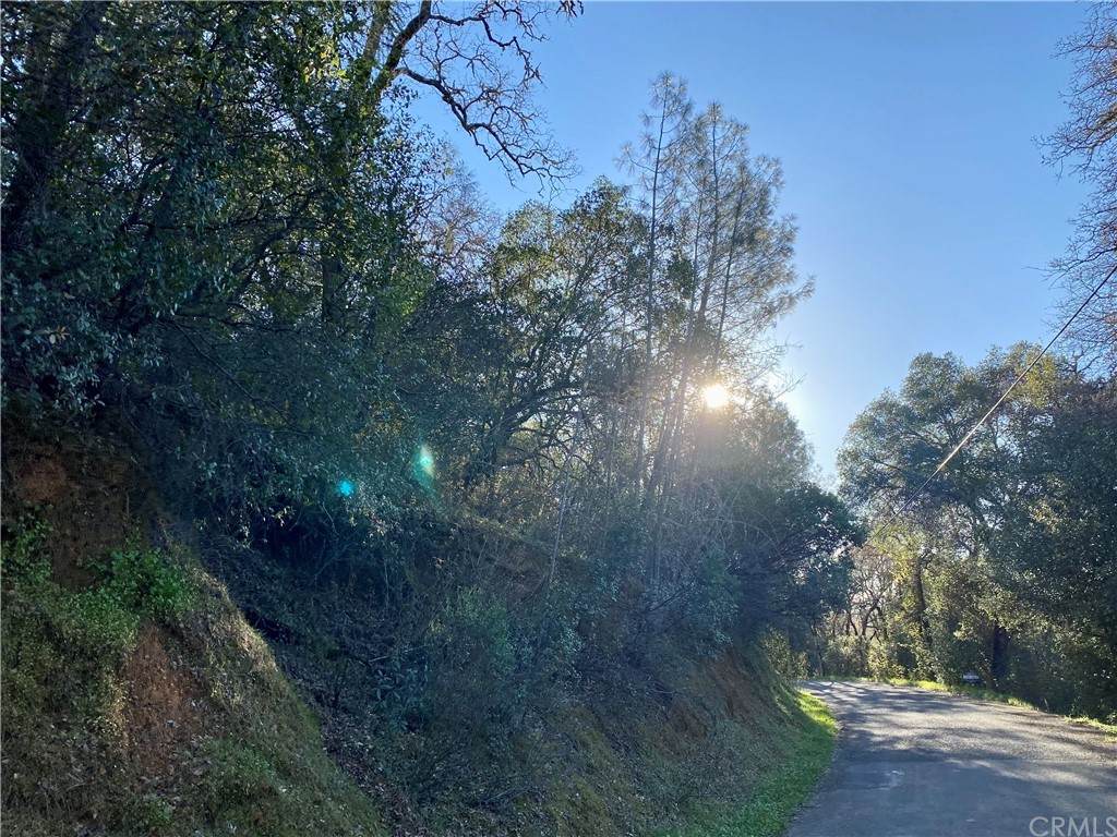 7022 Black Oak Street - Photo 1