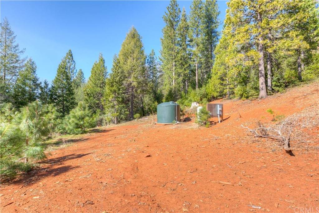 8146 Carolyn Lane - Photo 1