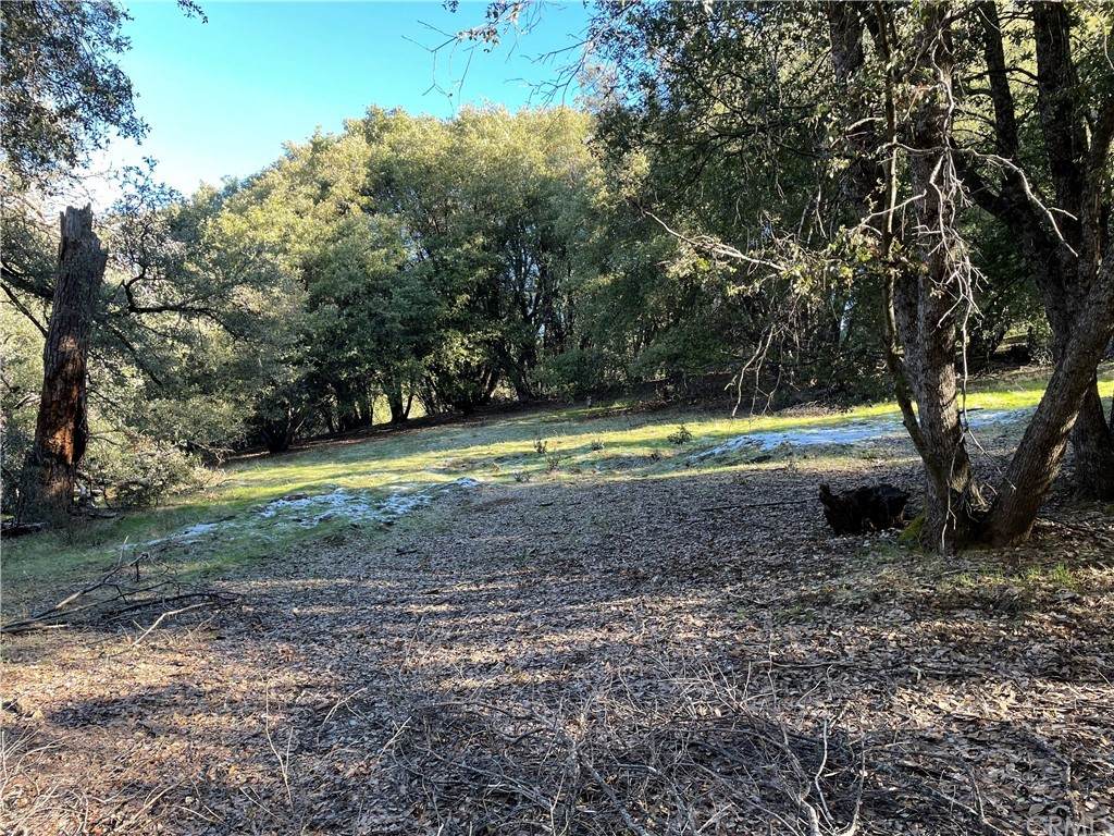5 Shade Tree Court - Photo 1