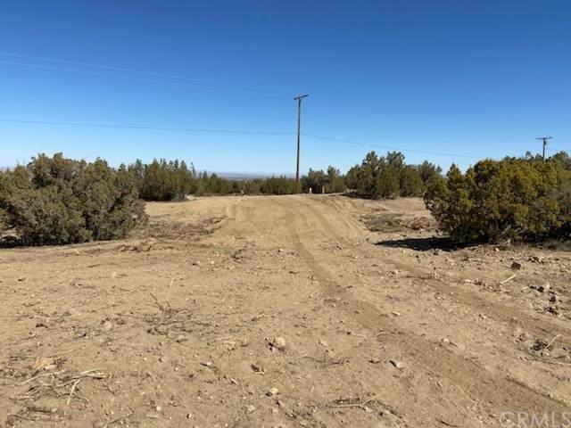 0 Cholla Road - Photo 1