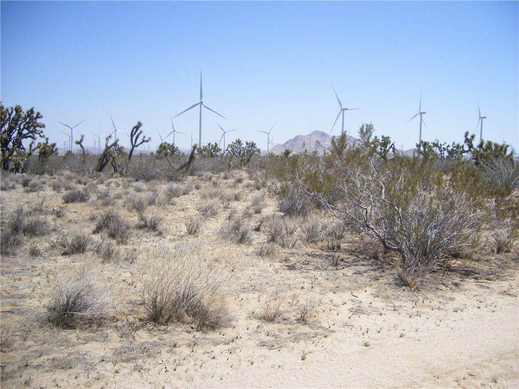 0 Hwy 58 South Highway - Photo 1