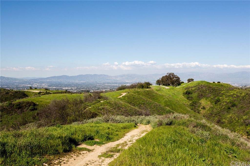 1 Mulholland - Photo 1