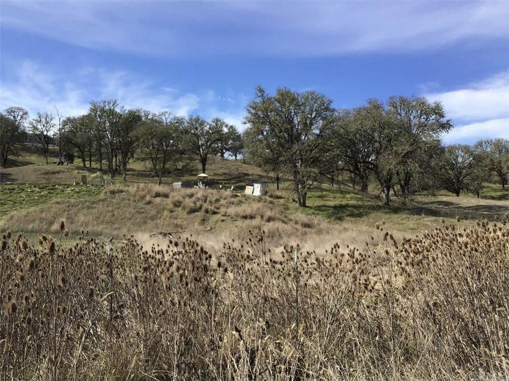355 Pine Ridge Road - Photo 1