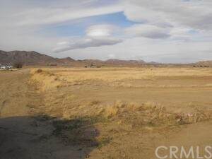 0 78th St West - Photo 1