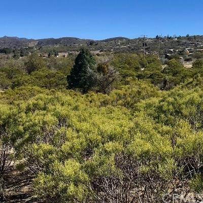 0 Rambling Hills Road - Photo 1