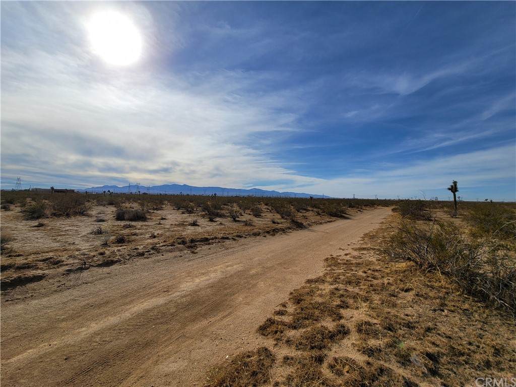 0 Yucca - Photo 1