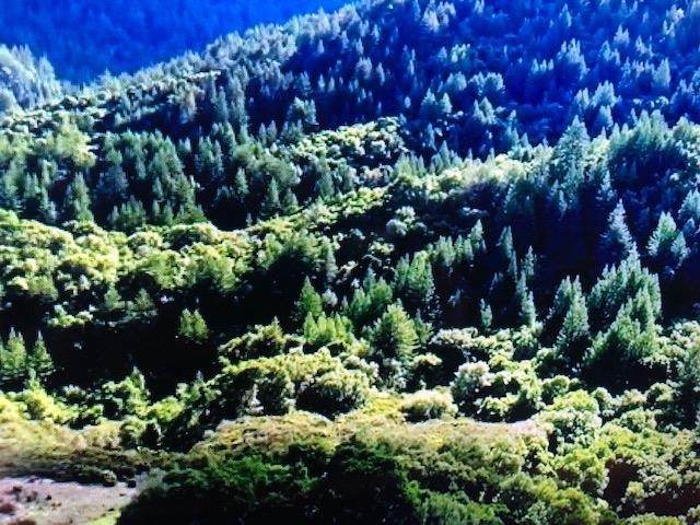 0 Zayante/Blue Jay Way - Photo 1