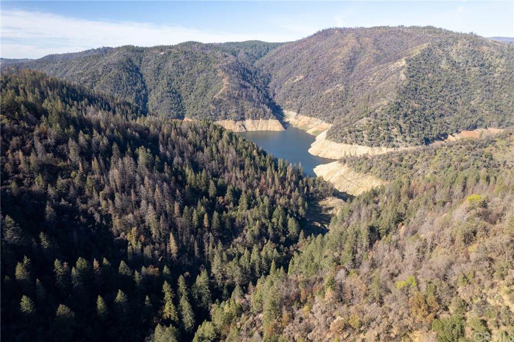 0 Berry Creek Rd - Photo 1