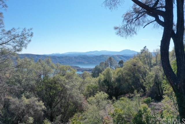 12353 Alta Vista Drive - Photo 1