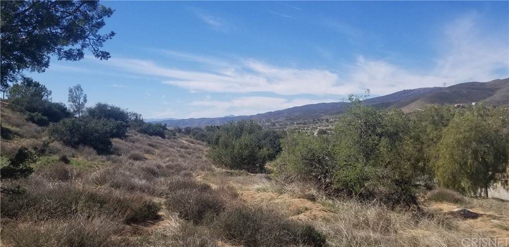 0 Sierra Hwy/Anthony Road - Photo 1