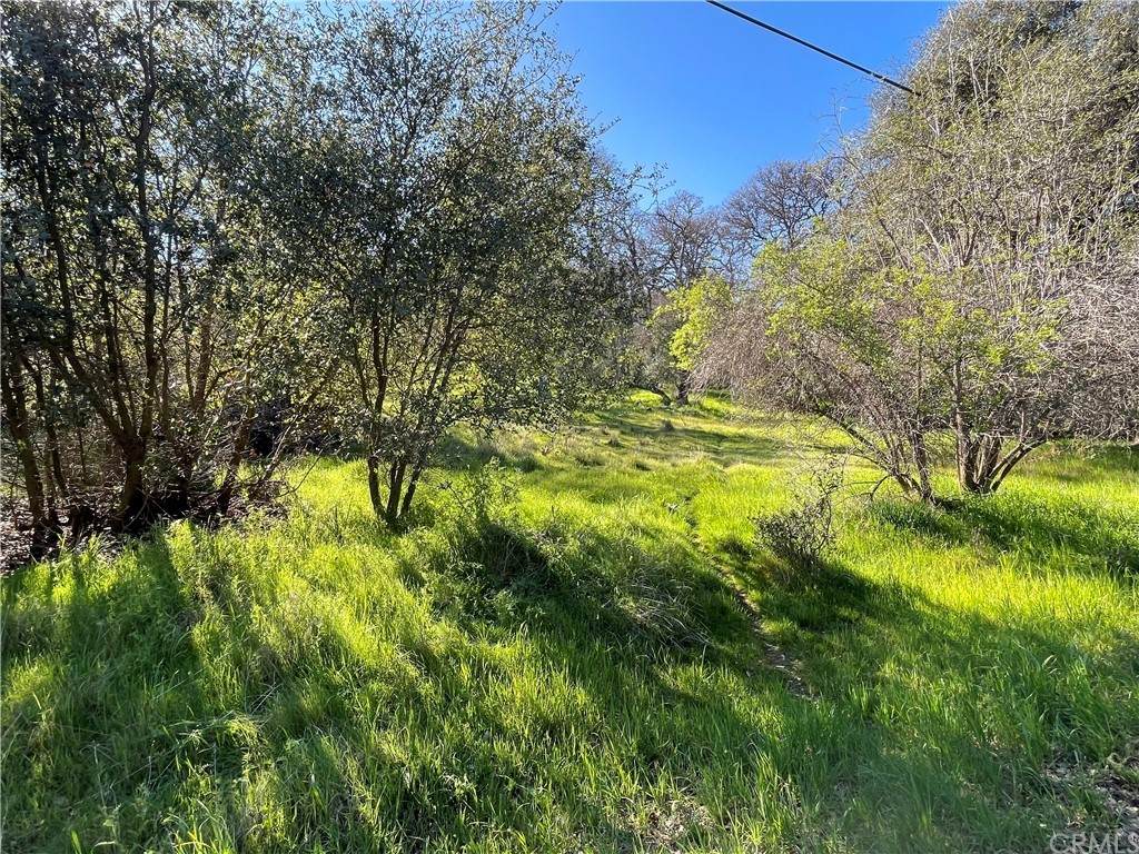 13161 Country Club Drive - Photo 1