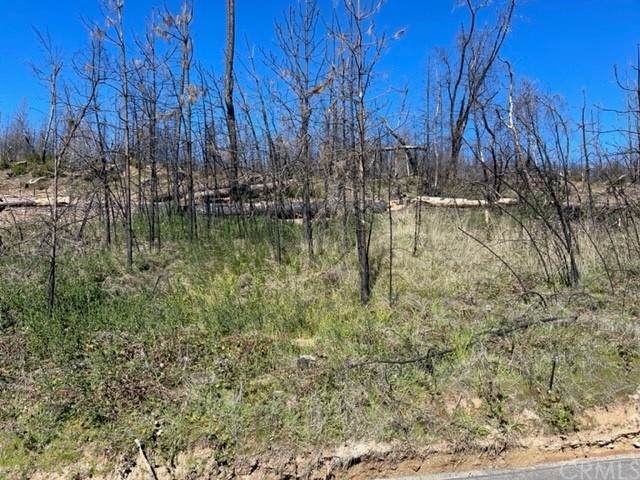 0 Meadow Lane Drive - Photo 1