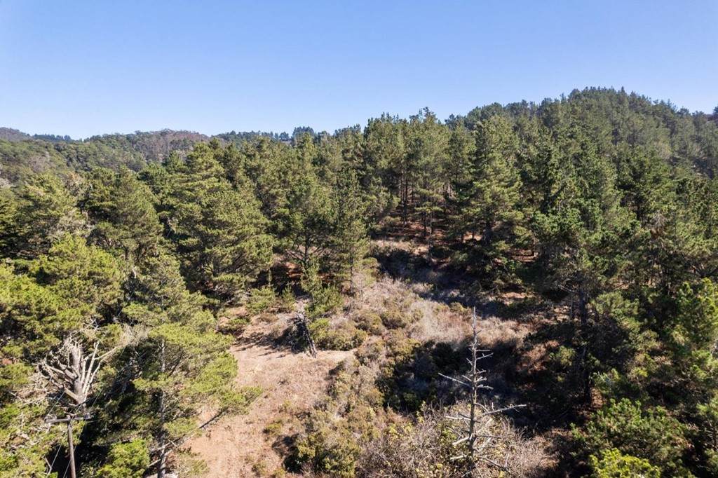 598 Ridgeway Drive - Photo 1