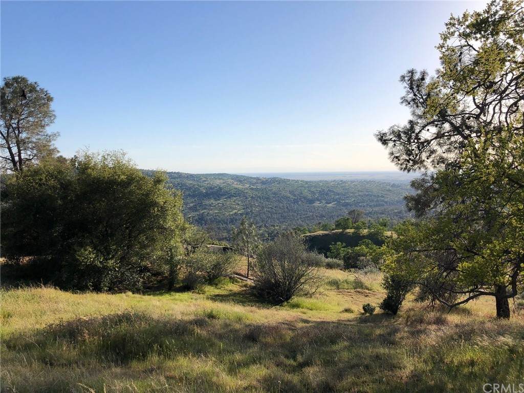 29448 Lilley Mountain Lane - Photo 1