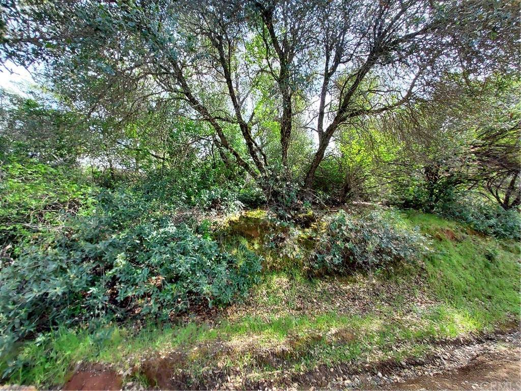 2755 Sherman Street - Photo 1