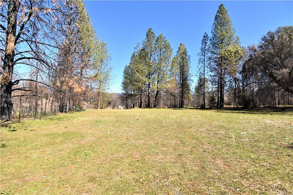 990 Bald Rock Road - Photo 1