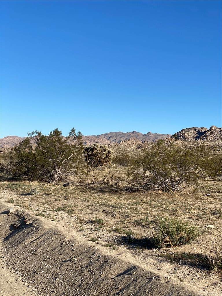 0 29 Palms Hwy - Photo 1