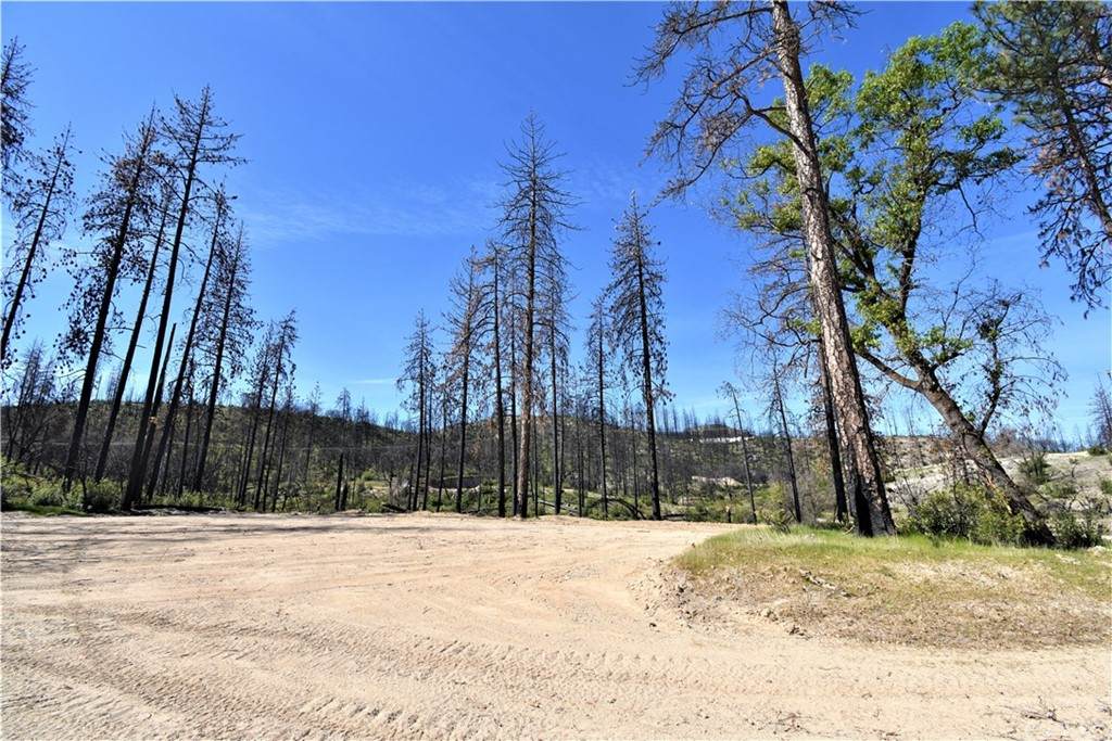 0 Cochise Drive - Photo 1