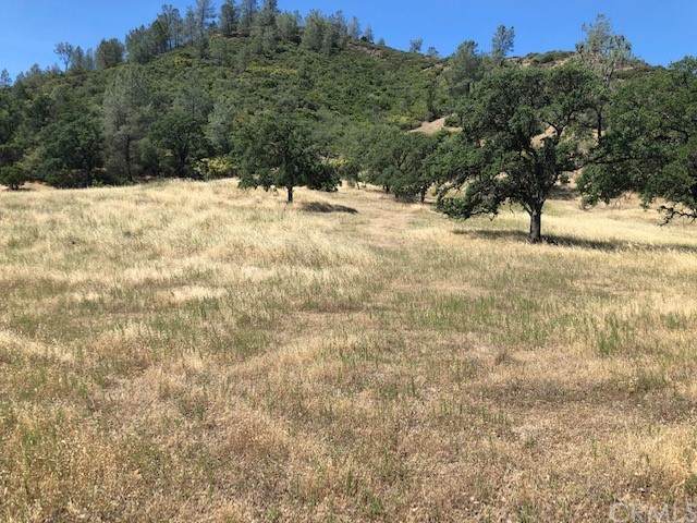 25252 Jerusalem Grade - Photo 1
