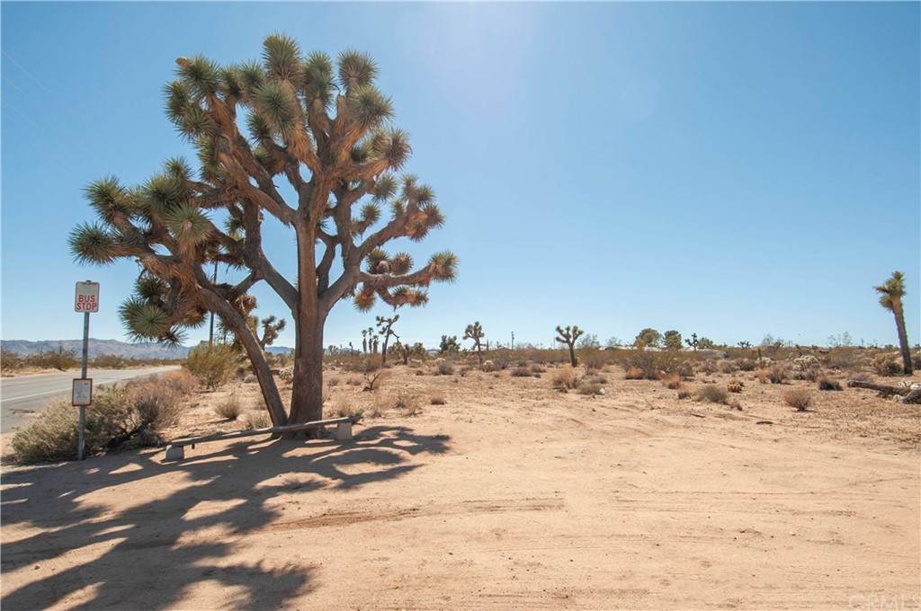 0 Yucca Mesa Road - Photo 1