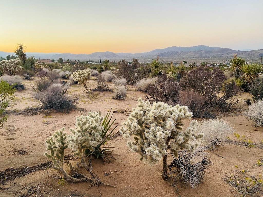 0 Agave Road - Photo 1