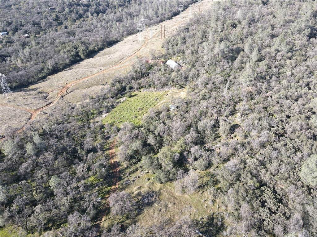 142 Oregon City Trail - Photo 1
