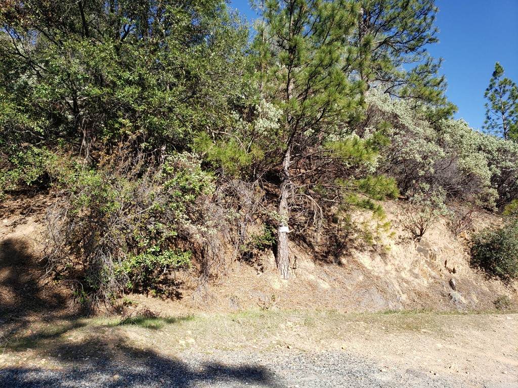 0 Big Hill Road - Photo 1