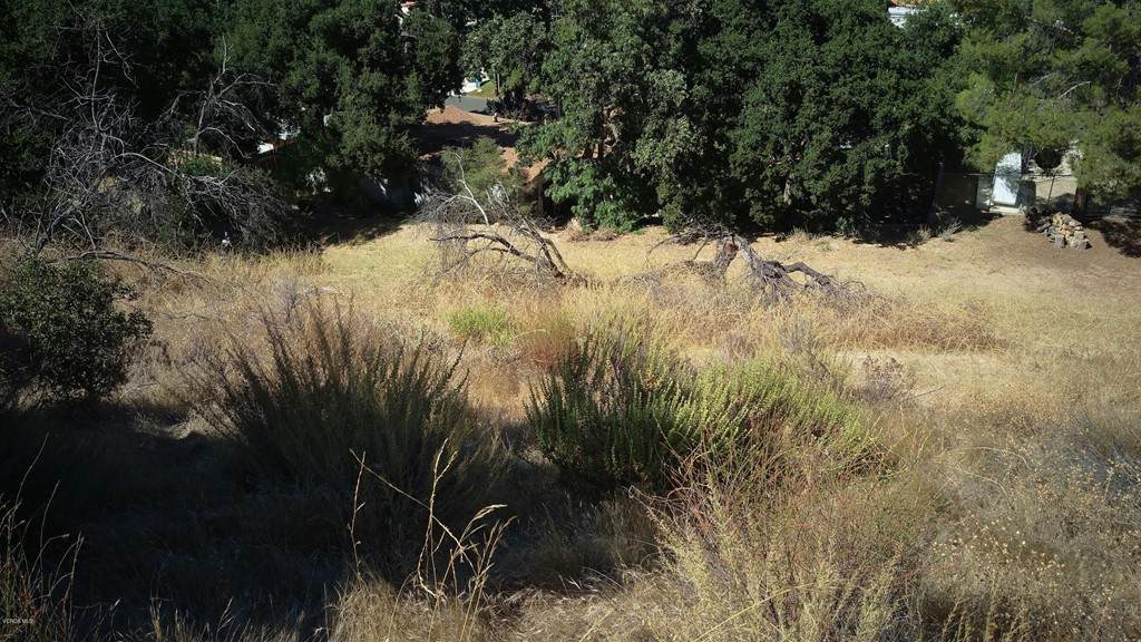 2 Hilltop - Photo 1